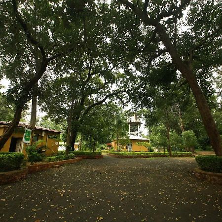 Mpt White Tiger Forest Lodge Tala  Bagian luar foto