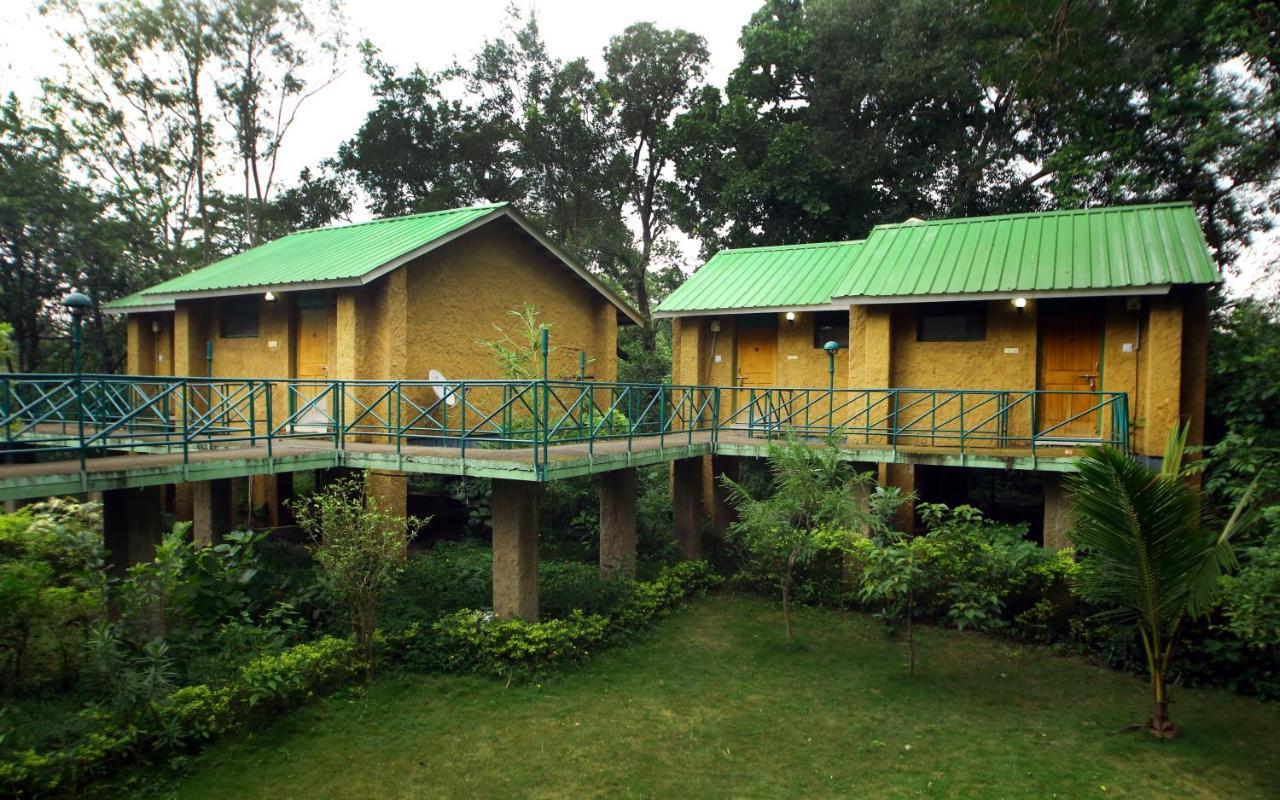 Mpt White Tiger Forest Lodge Tala  Bagian luar foto
