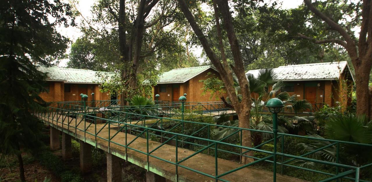 Mpt White Tiger Forest Lodge Tala  Bagian luar foto