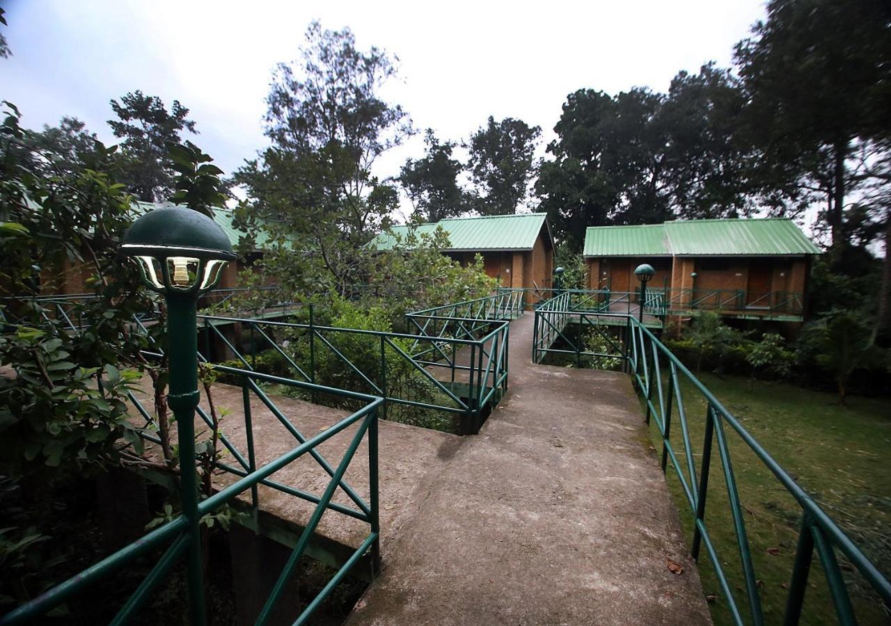 Mpt White Tiger Forest Lodge Tala  Bagian luar foto