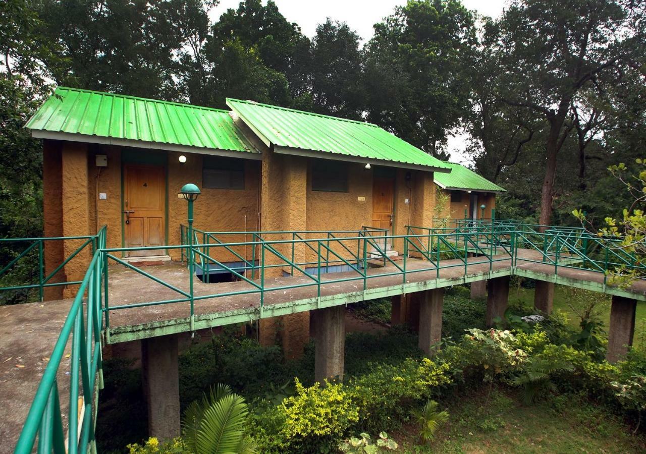 Mpt White Tiger Forest Lodge Tala  Bagian luar foto